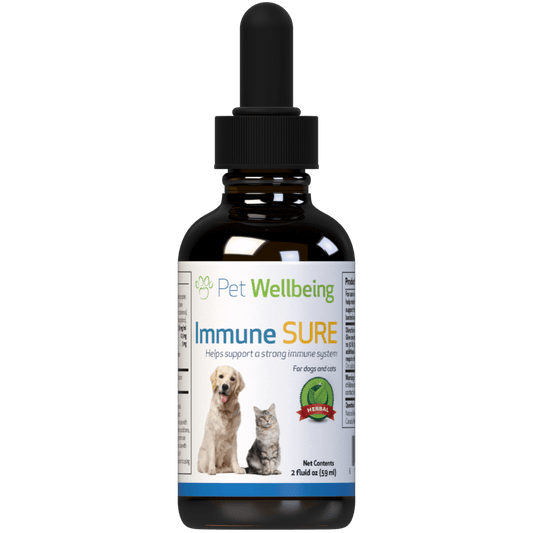 Immune SURE - Cat