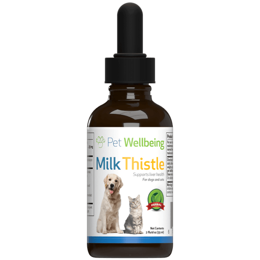 Milk Thistle - 반려묘 간 질환을 위한 밀크씨슬